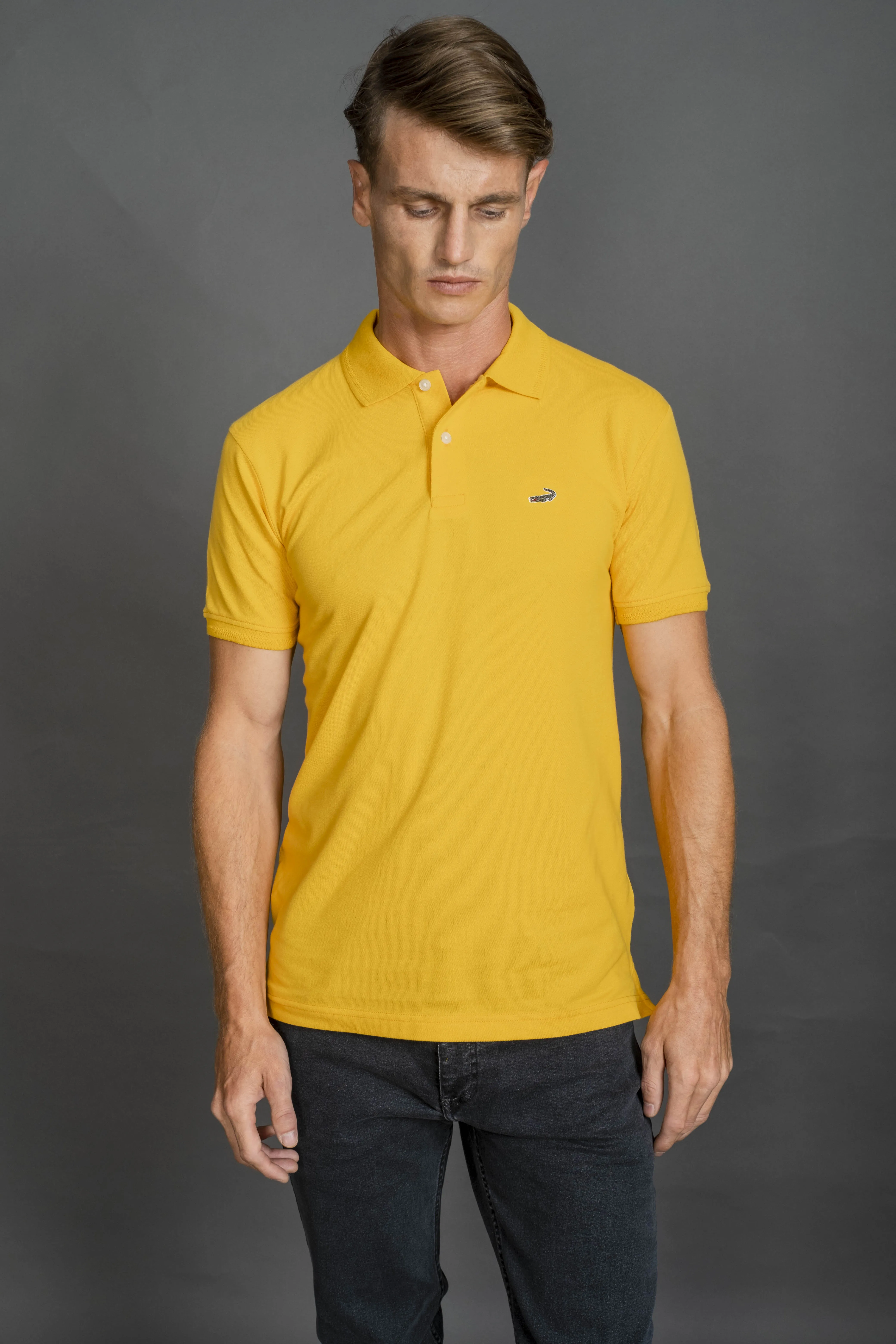 Supima Polo-Lemon Chrome-Slim Fit